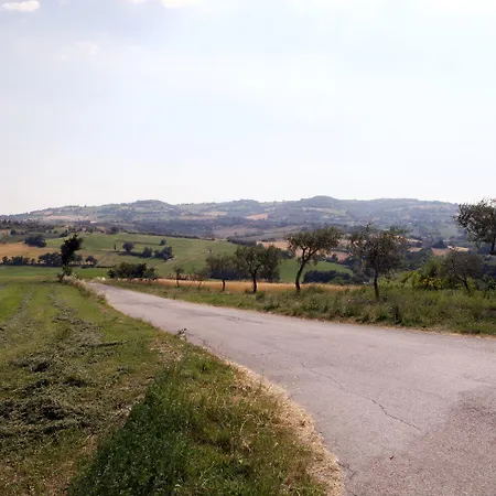 Sant'antonio モンテグリドルフォ