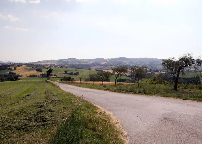 Sant'antonio Montegridolfo